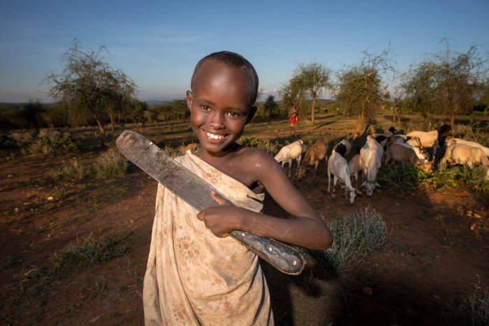 Lchekutis, los niños pastores masai